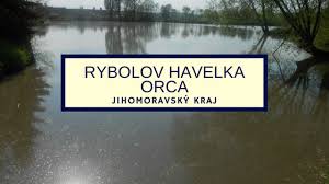 Leaflet | map data © google. Rybolov Havelka Orca Rybarina Jihomoravsky Krajrybareni V Cr Chyt A Pust Proste Se Bav