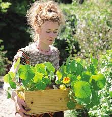Gardener S World Expert Alys Fowler On What To Do In November Vegetable Garden Design Edible Garden Garden Design