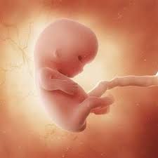 Es zählen also verantwortungsbewusstsein und die. Schwanger Und Kind Schwangerschaft Woche 9 Bis 12 3 Monat