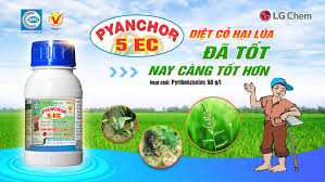 Pyanchor 5EC