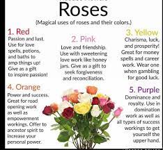 She Is Magik On Instagram I Use Different Color Roses On My Spiritual Baths Only Difference Is My Black Roses For Magickal Herbs Hoodoo Magic Hoodoo Conjure