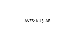 Https Acikders Ankara Edu Tr Mod Resource View Php Id 101836