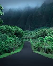 Ho Omaluhia Botanical Garden In Kaneohe Oahu Hawaii Scenery Scenic Beautiful Places