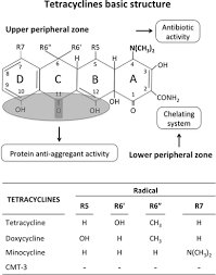 Image result for Tetracyclines