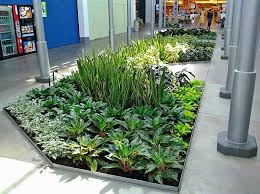 Interior Plantscape Concept Indoor Garden Interior Concept Scape