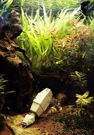 Akwarium Aquarium Cube Kostka Star Wars Atat At At Diorama Aquascape I Have Toys I Could Use For This Aquascape Aquarium Fish Tank Freshwater Plants