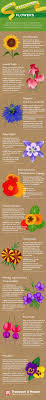 An evergreen climber flower that comes in an array of exotic looking colours that sometimes produced colourful fruit. Top 10 Easy To Grow Flowers And Seeds Thompson Morgan