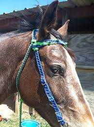 Maybe you would like to learn more about one of these? 170 Paracord Horse Tack Ideas In 2021 Horse Tack Paracord Horse Diy