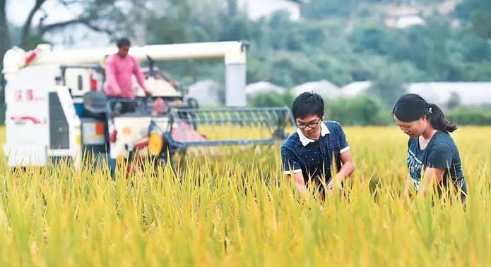 Modernización de agricultura en China se acelerará en próxima década | Blueberries Consulting