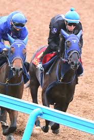 更新日 ： 2021年4月23日 (金) ユーバーレーベンは、4月25日 (日)東京11r・フローラステークスg2・芝2000mにm.デムーロ騎手で出走します。 Im2rgsp29byclm