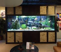 This Tank Is Quite The Show Piece Thefishgallery Doesn T Mess Around With Their Tanks Aquariumhobby Thefishg Cool Fish Tanks Fish Tank Oscar Fish