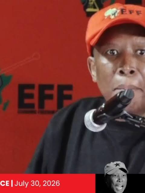 Julius Malema on Mashaba, ANC in Joburg, and electricity pricing