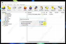 Cara Melanjutkan Download Idm Di Komputer Lain Winpoin