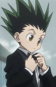 The paradox press manga releases are all titled this way; Gon Freecss Suit Cute Album On Imgur
