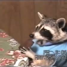 Take a year off and tell people you are younger. Happy Birthday Annabelle Trashpandas