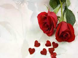 ورد وقلوب صور rose flower photos love rose flower love rose images