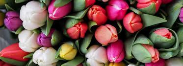 Danielle Seaman and Randy Bolick's Wedding Registry