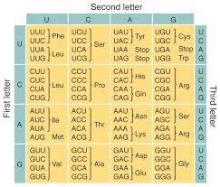 Universal Genetic Code