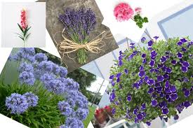 Fiori di primavera semplice fiore con 4 petali fiore con. Quali Sono I 5 Fiori Estivi Piu Colorati E Profumati Tutti I Consigli