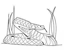 In this page you will find a number of printable snake coloring pages that portray these reptiles in both realistic as well as humorous ways. Realistic Cat Animal Coloring Pages Novocom Top
