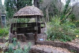 Osier Le Saule De Vannerie Dans Tous Ses Etats Les Conseils De Jardin De Vavou Jardin Contemporain Jardins Osier