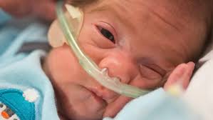 A Mother's Gift: Remembering Karla Perez, Honoring the Life and Legacy She  Left Behind