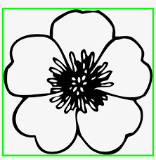 We did not find results for: Fascinating Daisy Flower Black And White Clipart Icons Flowers Png Black And White Transparent Png 900x873 Free Download On Nicepng