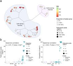 A Systems Biology Approach To Explore The Impact Of Maple