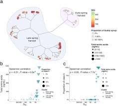 A Systems Biology Approach To Explore The Impact Of Maple