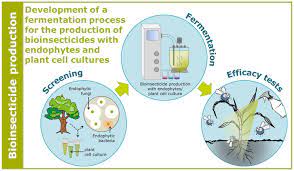 Foods and fermentation so far, our discussion of fermentation has included molds, bacteria, acids, glucose, and Bioinsecticide Production