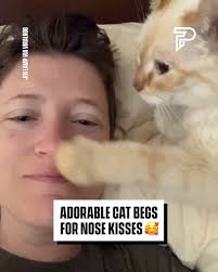 You just can't say no! 🥺