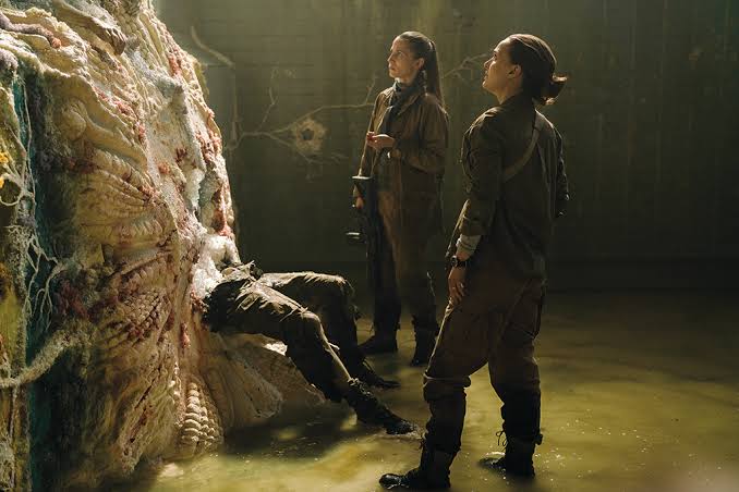 An Altered Realm of Being (and Beings) Haunt ANNIHILATION - VFX Voice