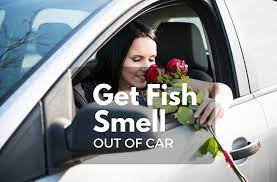 How To Get Fish Smell Out Of Your Car The Rider Base