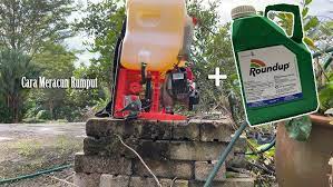 Selain cara diatas, anda juga bisa membuat racun rumput dari air kelapa dengan metode dan bahan berikut ini demikian lah pembahasan mengenai cara membuat racun rumput dari air kelapa. Cara Bancuhan Racun Rumpai Youtube