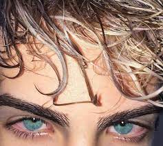 ɪᴄᴇʟᴀɴᴅ ғᴏx Eye Aesthetic Photography Krasnye Glaza Fotografiya Glaza Krasivye Glaza