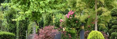 Baumschule Wortmann In Hamburg Firmengeschichte