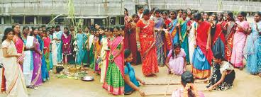 Image result for pongal festival images