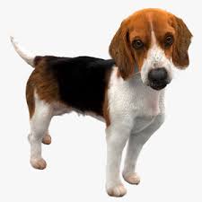 3d Dog Models Turbosquid