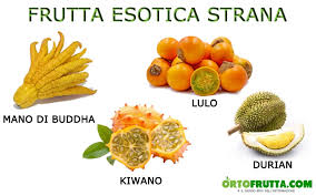 Numerose le varietà, dal gruppo delle. Frutta Esotica La Guida Completa Nomi E Proprieta Ortofrutta Com