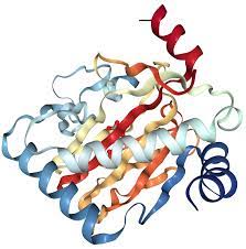 May 06, 2021 · the latest tweets from 야외노출트윗 (@hsdjfhiuw3hif74). Hif 1 Alpha Protein Overview Sequence Structure Function And Protein Interaction Sino Biological