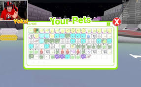 Get the new latest code and redeem some free items and stuffs. Cat Simulator Roblox Roblox Free Robux Codes No Survey Dubai Khalifa