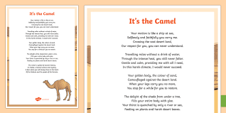 The desert camel, by martha lavinia hoffman. Camel Poem Display Poster Teacher Made