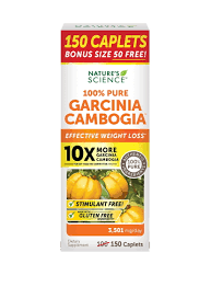 Image result for Garcinia buchneri