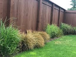 Check spelling or type a new query. Best Ornamental Grasses To Put Along Your Fence Ornamental Grasses
