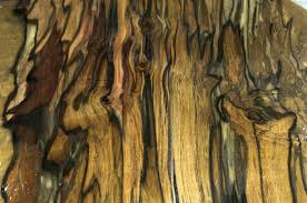 Blackhearted Sassafras The Variety Of Color In This Wood Is Fantastic Burled Wood Wood Woodworking