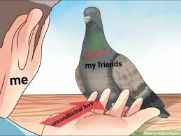 These are arguably the best meme songs and dank songs on the internet today. 24 Wholesome Memes To Soothe Your Soul Feels Gallery