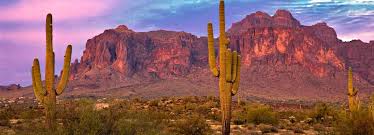 This saguaro cactus may way up to one ton. A Guide To Moving To Arizona Trusted Choice