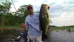 Ways to Catch a Bass - How