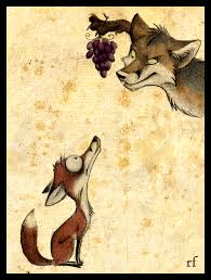 Pin On Skia Culpeo Fox
