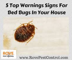 5 Top Warnings Signs For Bed Bugs In Your House Bed Bugs Bed Bug Bites Signs Of Bed Bugs